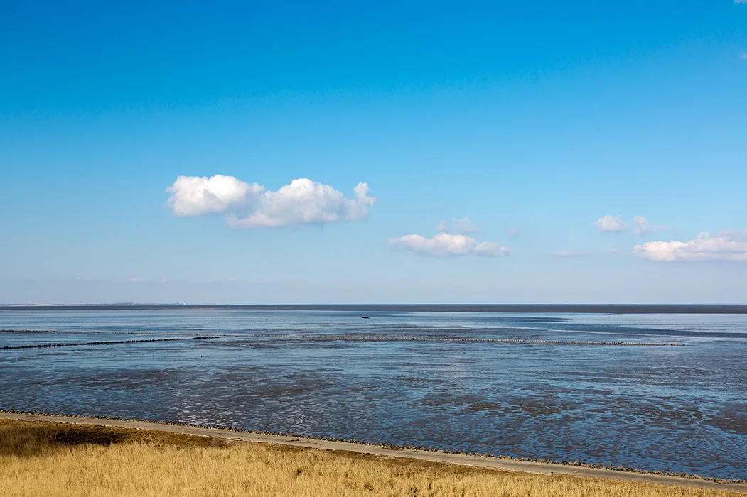 Watt vor Keitum, Sylt 2013