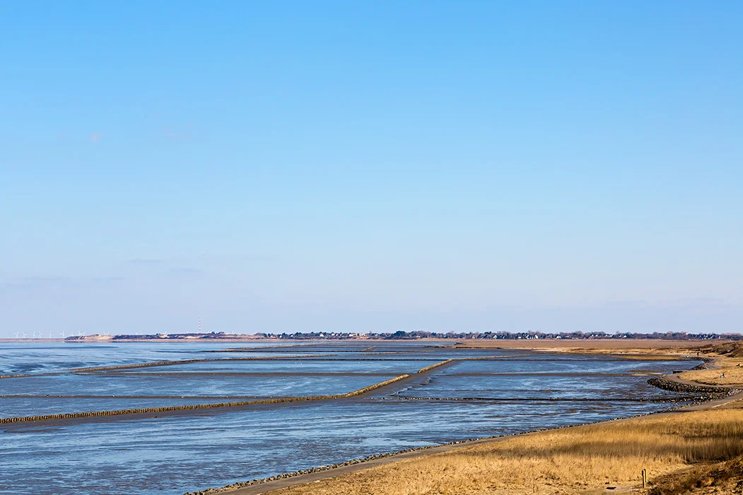 Watt vor Keitum, Sylt 2013