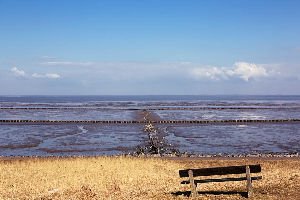 Watt vor Keitum, Sylt 2013