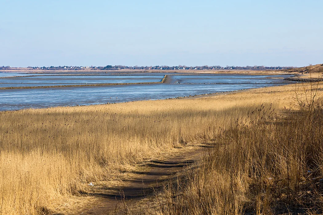 Watt vor Keitum, Sylt 2013