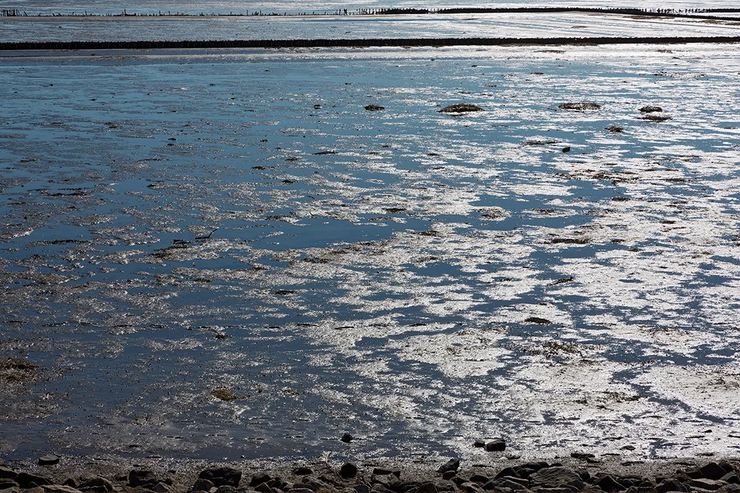 Wattenmeer vor Rantum, Sylt 2013