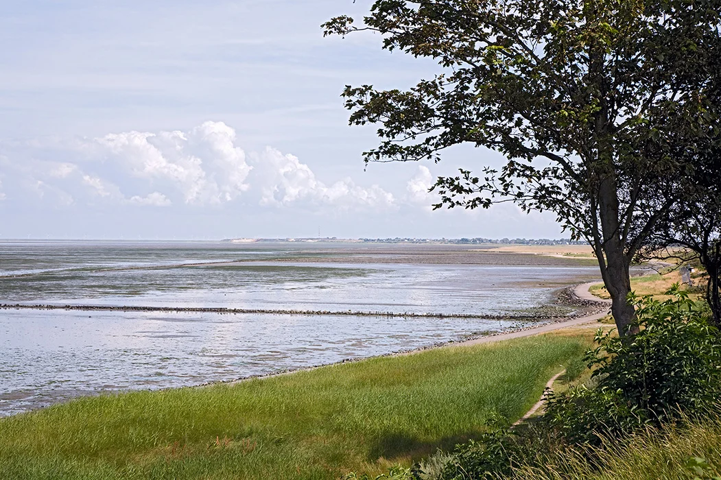 Watt vor Keitum, Sylt 2009