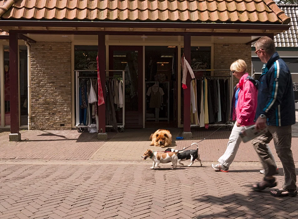 Nes, Ameland 2011
