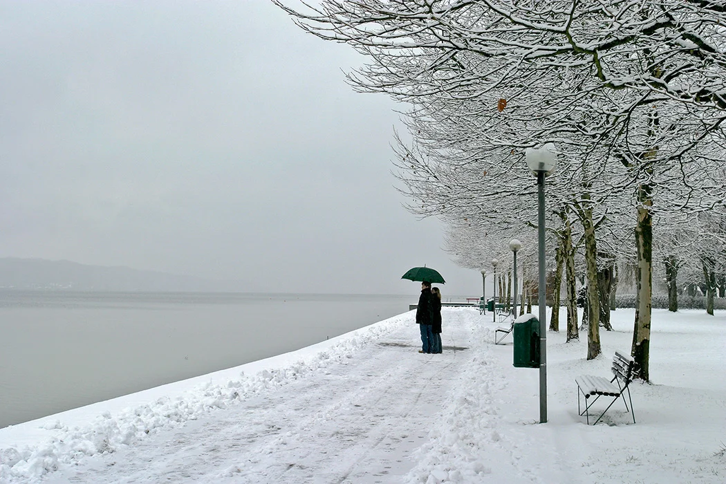 Am Starnberger See, 2003