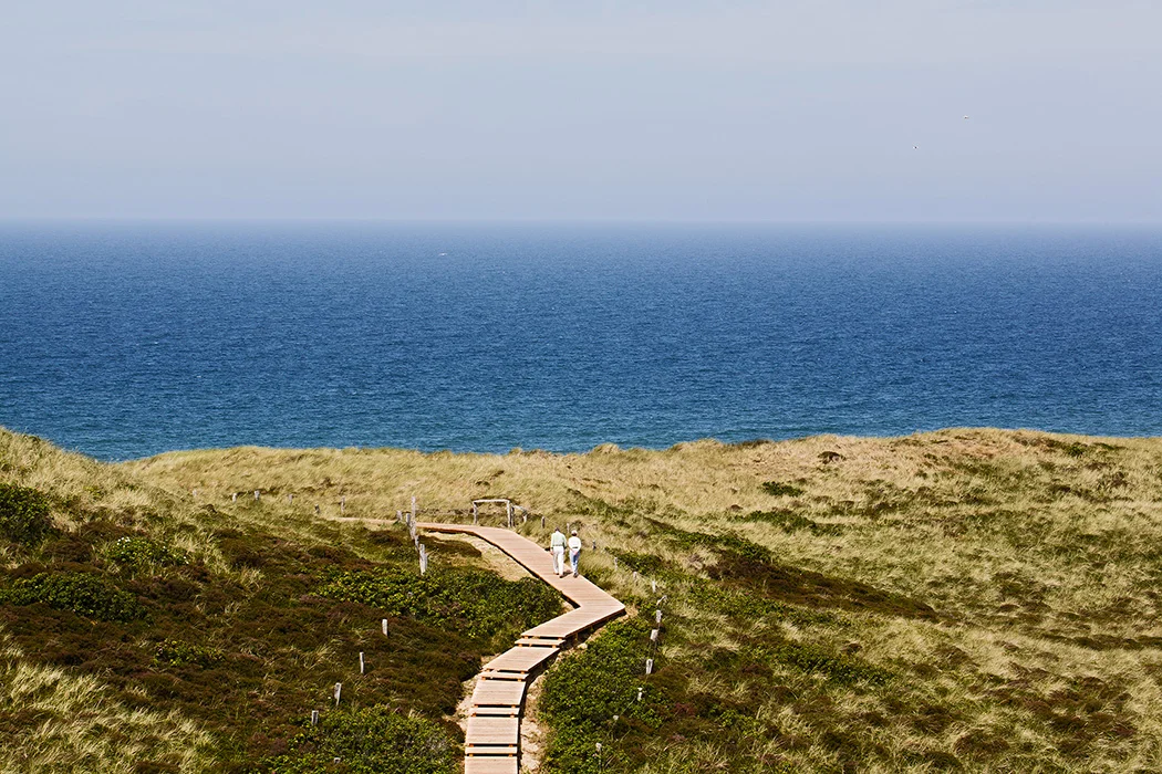 Duenenweg, Sylt 2009