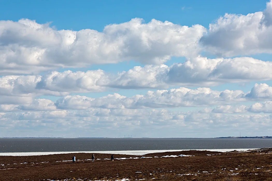 Braderuper Heide, Sylt 2013