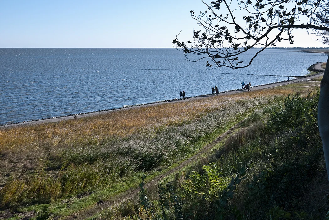 Watt vor Keitum, Sylt 2013