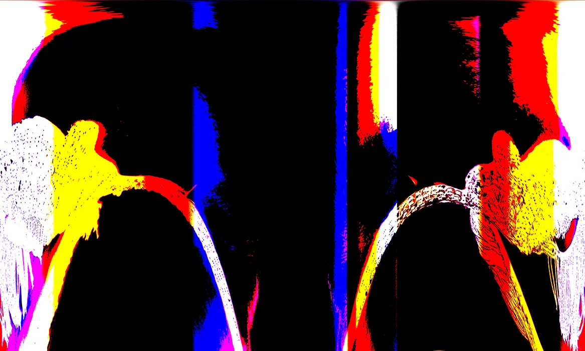 Transformation #76430101, 2006