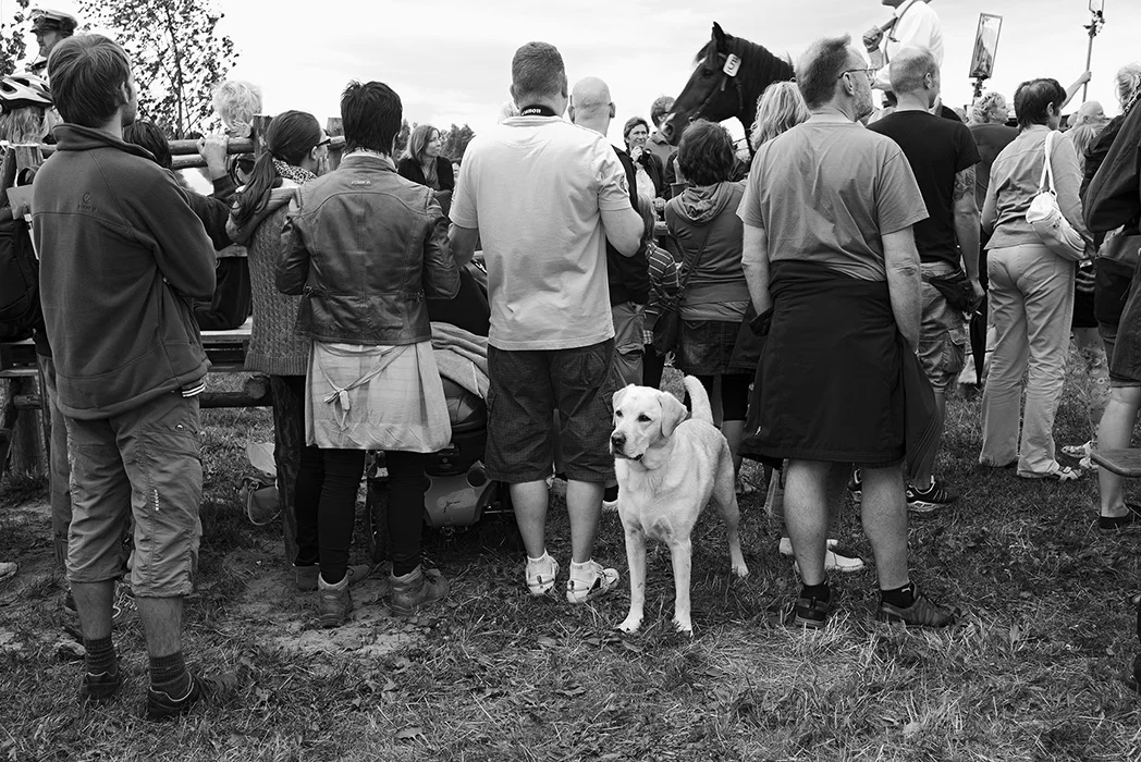 O.T., Ahrenshoop 2012