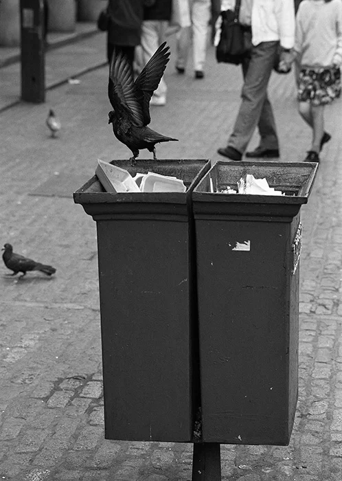 Muellsammler, London 1993