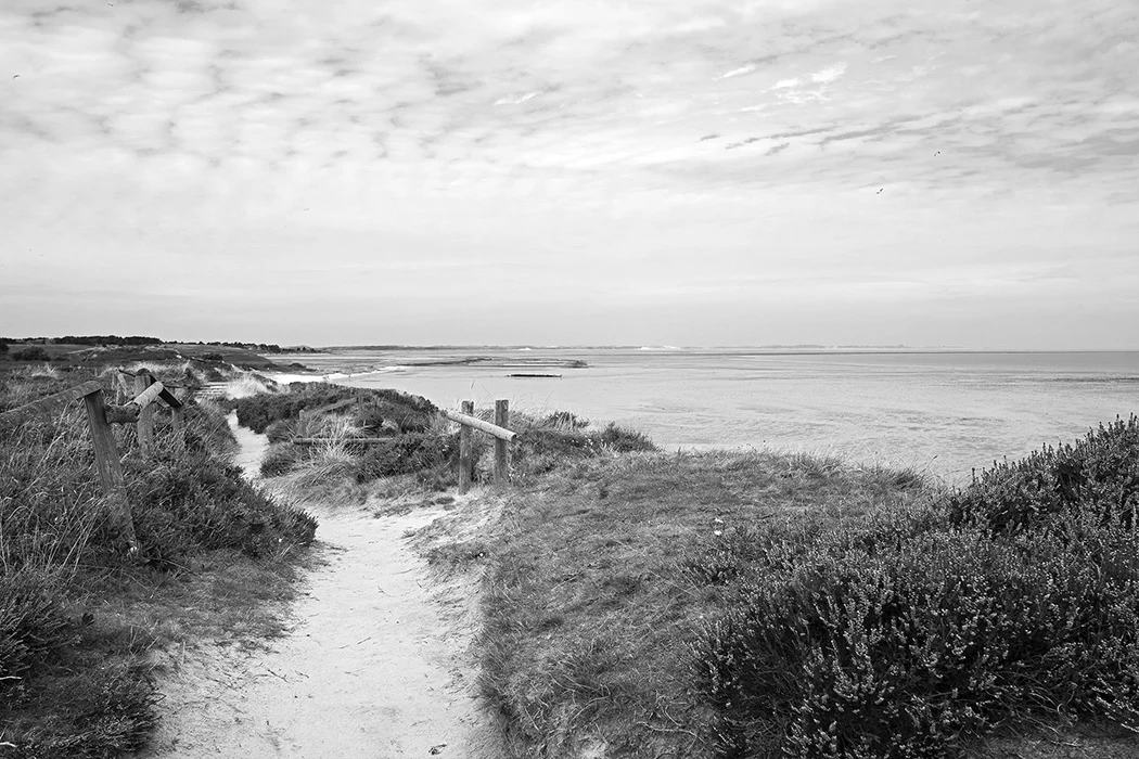 Braderuper Heide, Sylt 2011