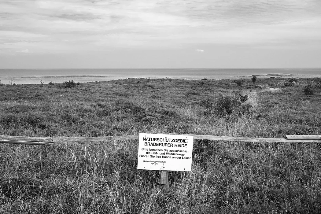 Naturschutzgebiet, Sylt 2011