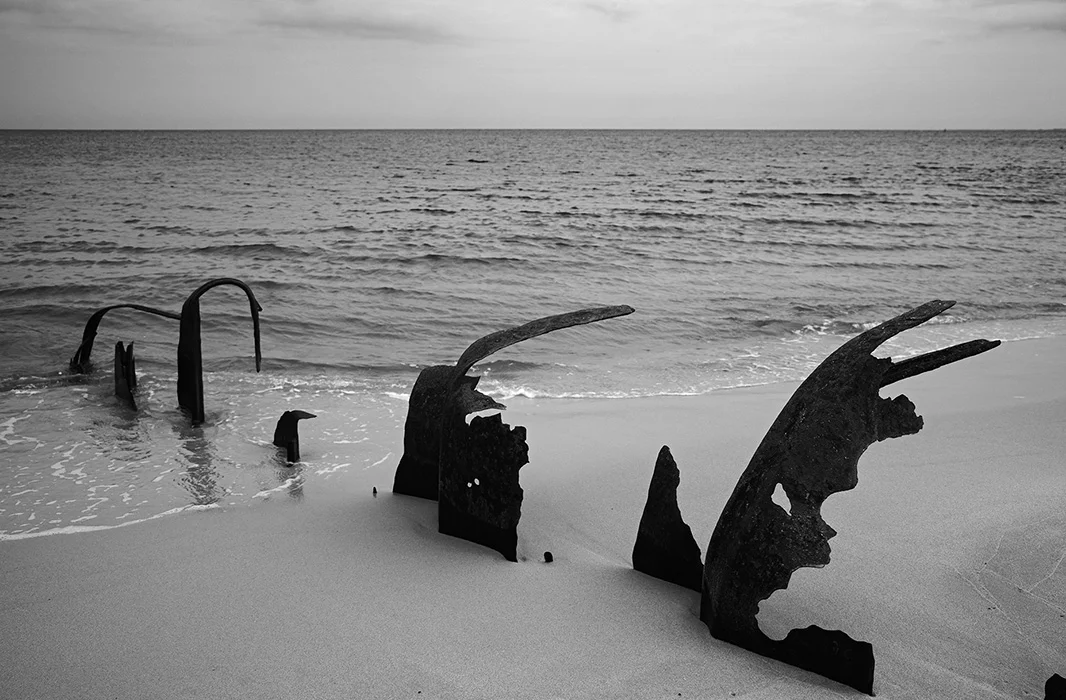 Buhnenreste, Sylt 2009