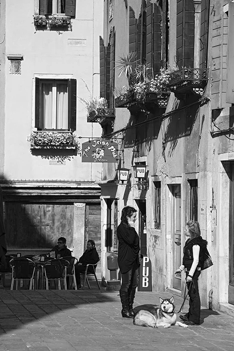 Corte dei Pali già Testori, Venedig 2012