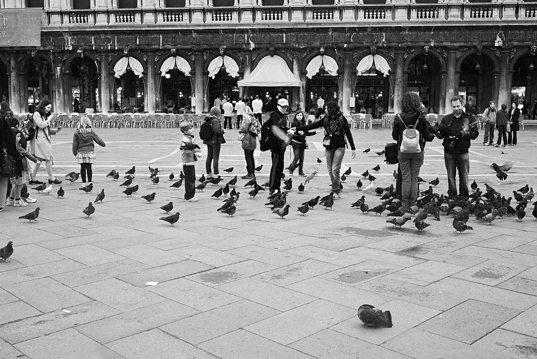 Campo San Marco, Venedig 2012
