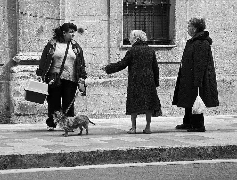 Palma de Mallorca 2010