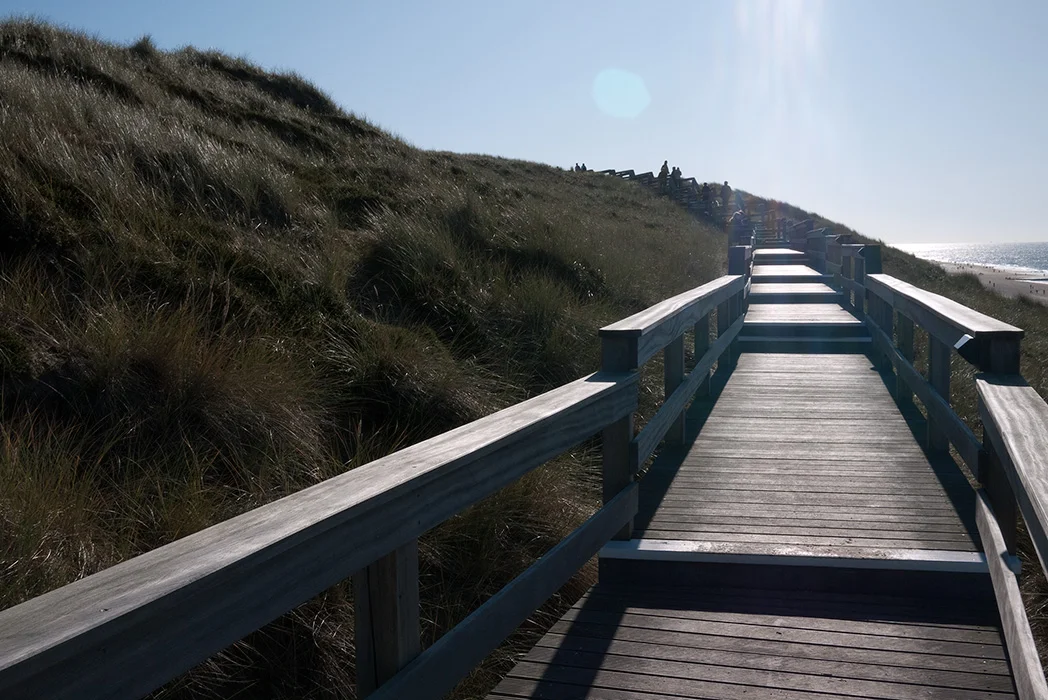 Duenenweg bei Wenningstedt, Sylt 2009