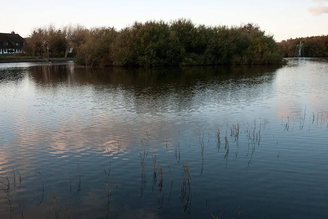 Wenningstedt, Dorfteich, Sylt 2009