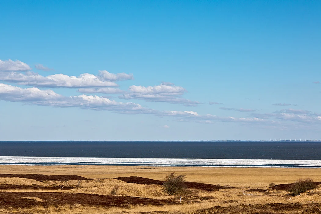 Braderuper Heide, Sylt 2013