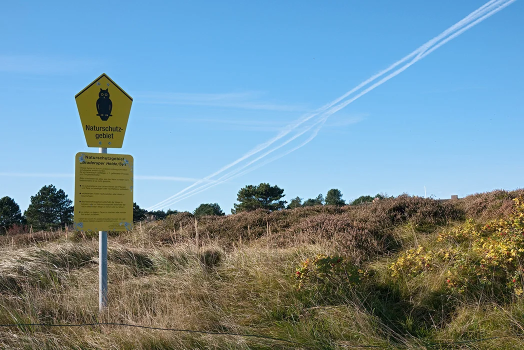 Naturschutzgebiet Braderuper Heide, Sylt 2009