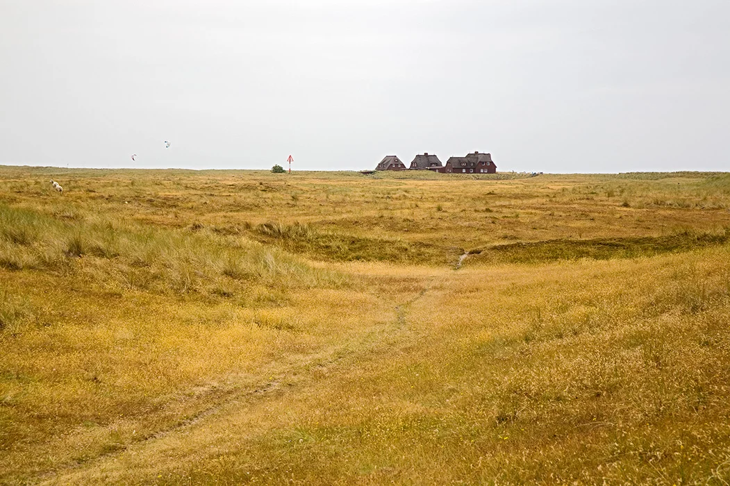 Lister Ellenbogen, Sylt 2013