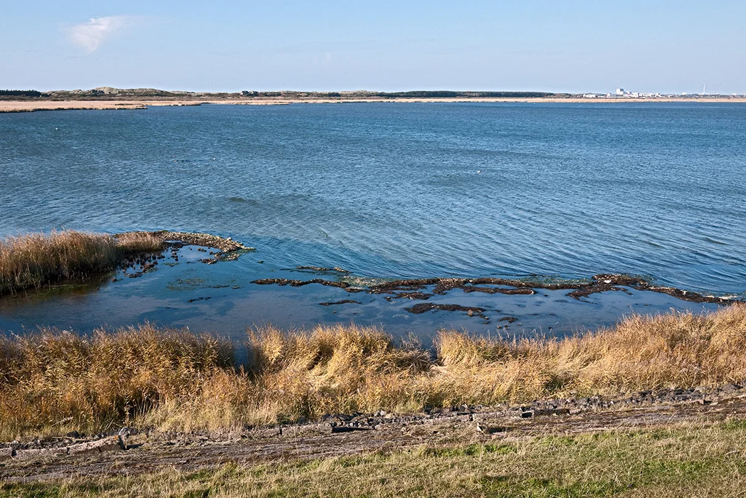 Naturschutzgebiet Rantumbecken, Sylt 2013