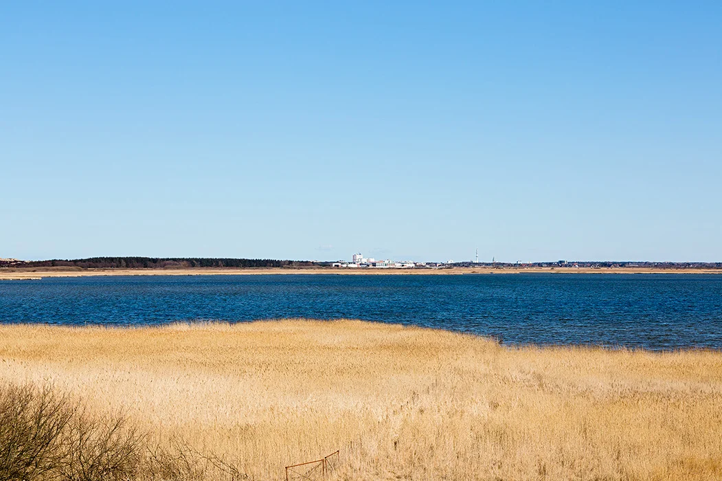 Rantumbecken, Sylt 2013