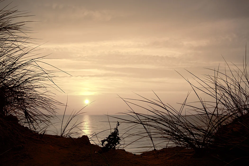 SouMe, Sylt 2011