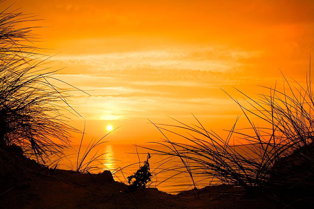 SouMe, Sylt 2011