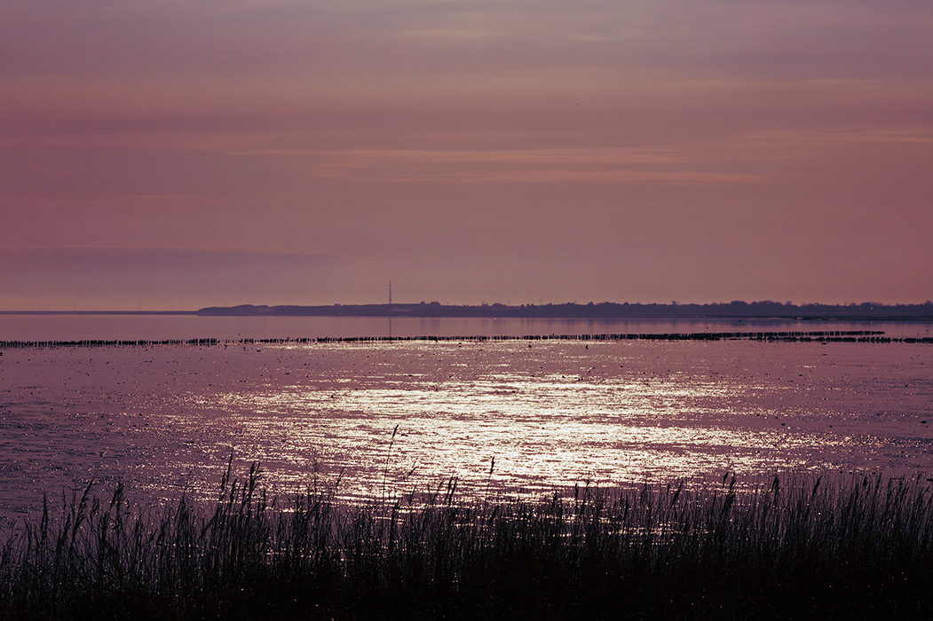 SouMe, Sylt 2013