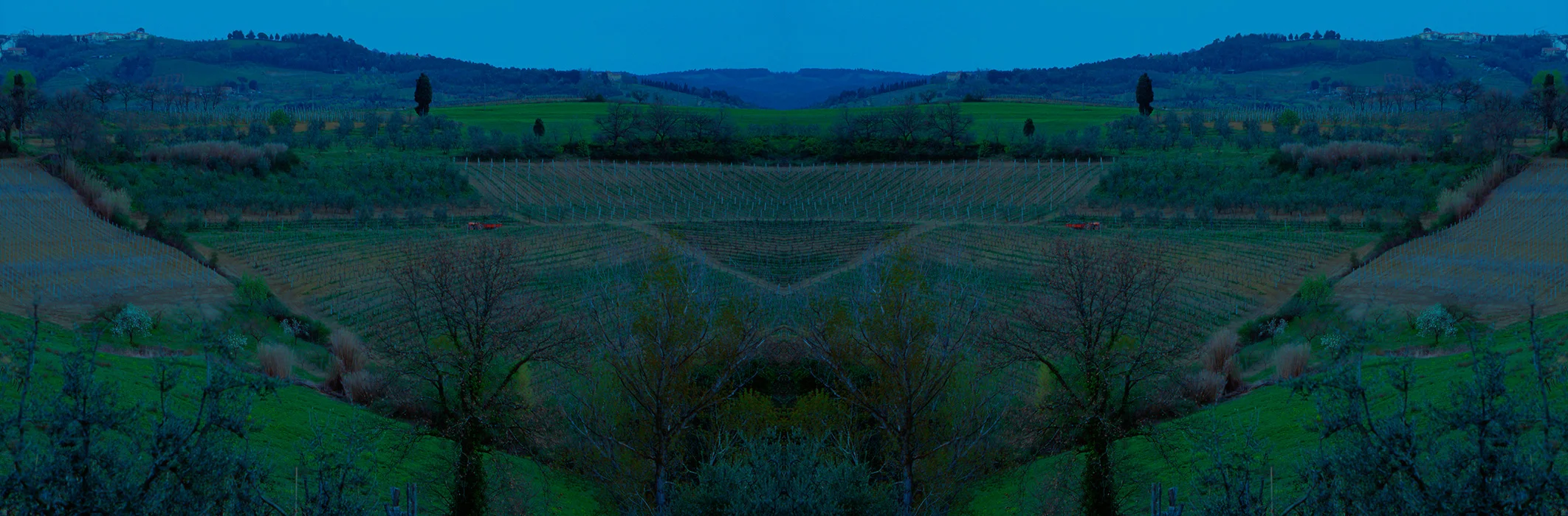 Landschaft bei Colle di Val d' Elsa, 1998/2006