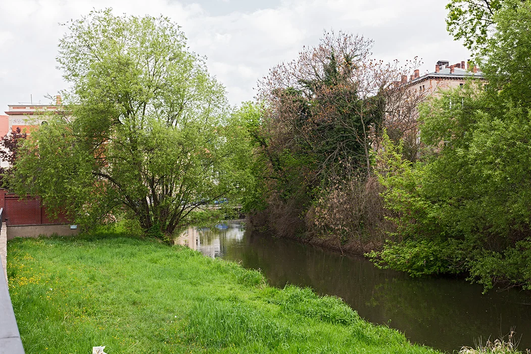 Muehlgraben, Halle 2014