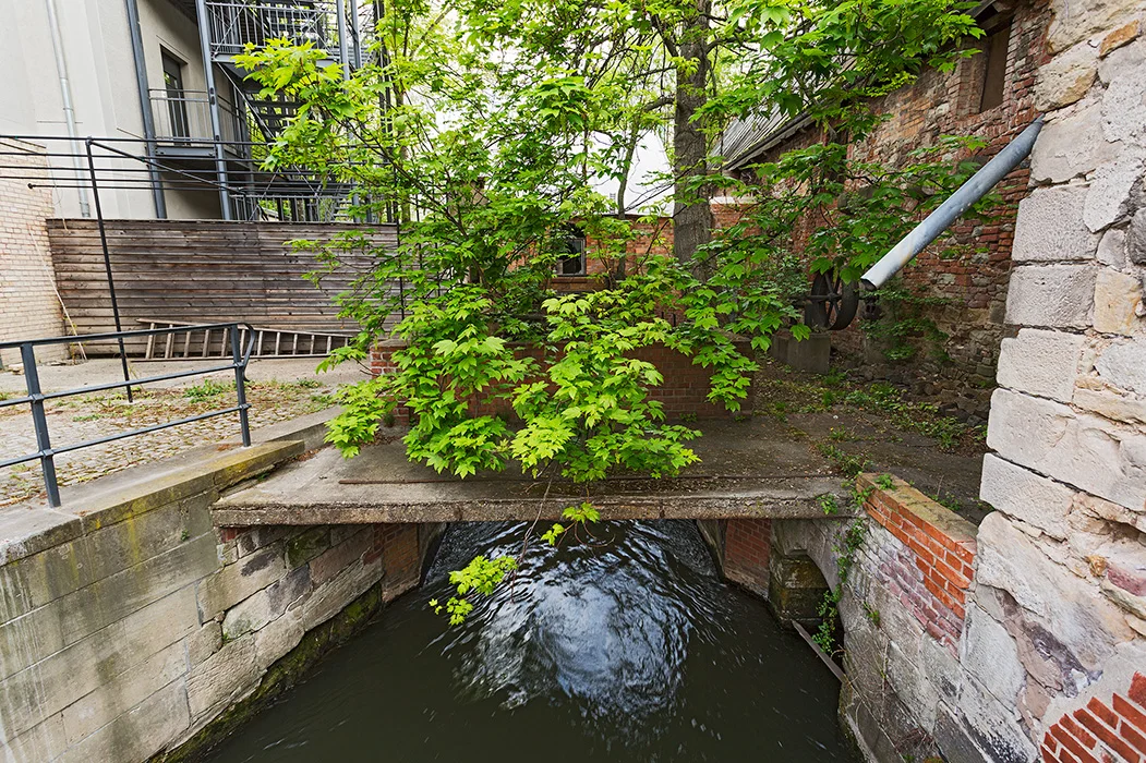 Muehlgraben, Halle 2014