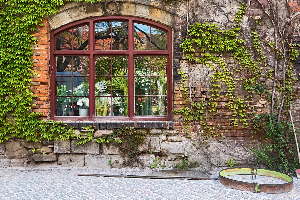 Residenz, Halle 2014