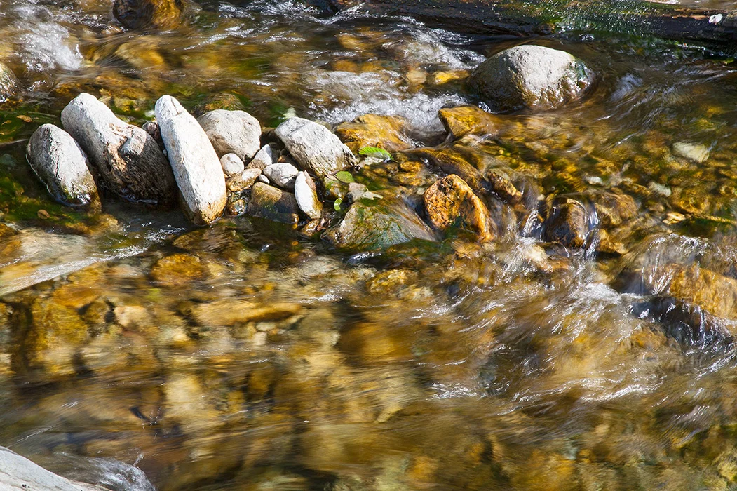 Wildschönau 2008