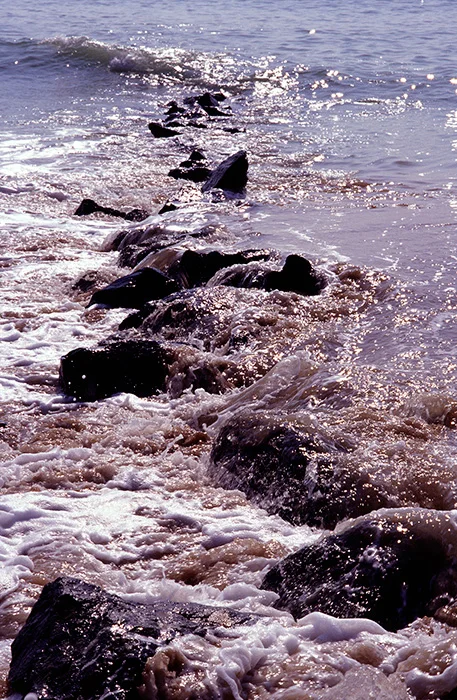 Le Remigeasse, Ile d´Oleron 2003