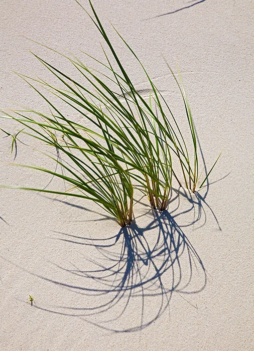Hoernum, Sylt 2009