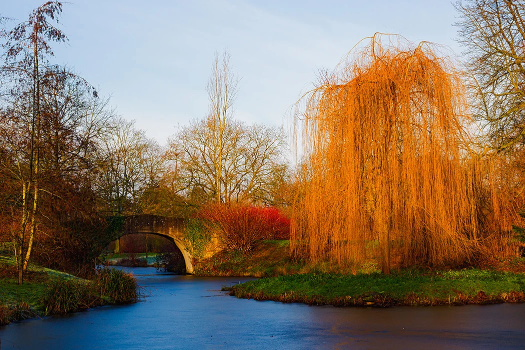 Raffelbergpark, Mülheim-Ruhr 2015