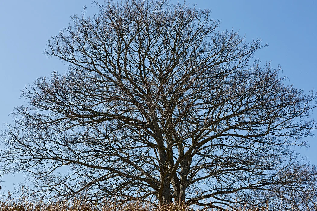 Keitum, Sylt 2011