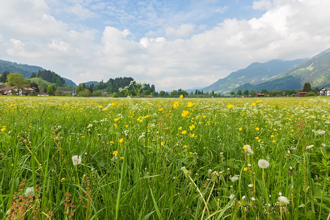 Allgaeu, Oberstdorf 2015