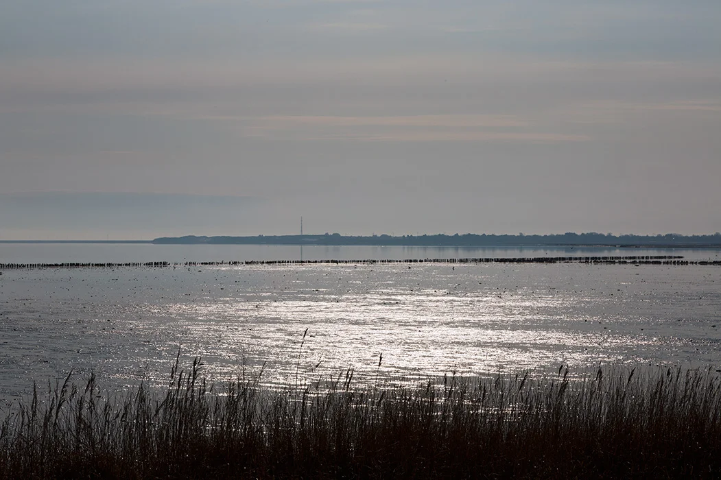 Wattenmeer, Sylt 2013
