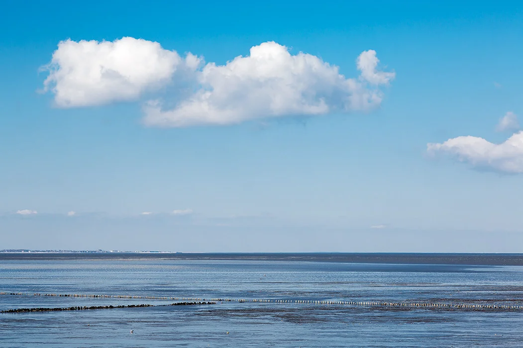 Wattenmeer, Sylt 2013