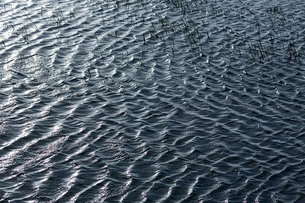 Morsum, Sylt 2015