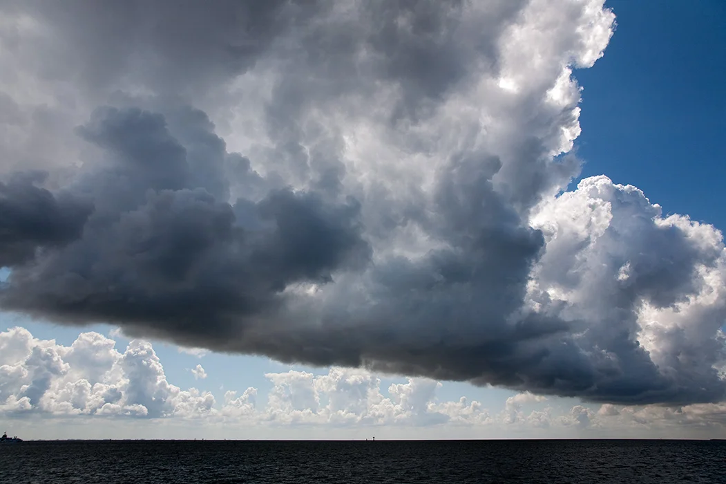 Wattenmeer, Ameland 2011