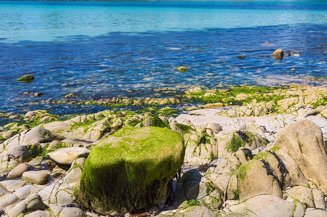 Audierne, Bretagne 2015