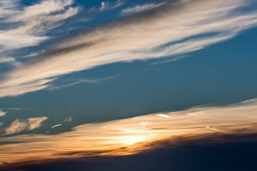 Braderuper Heide, Sylt 2015