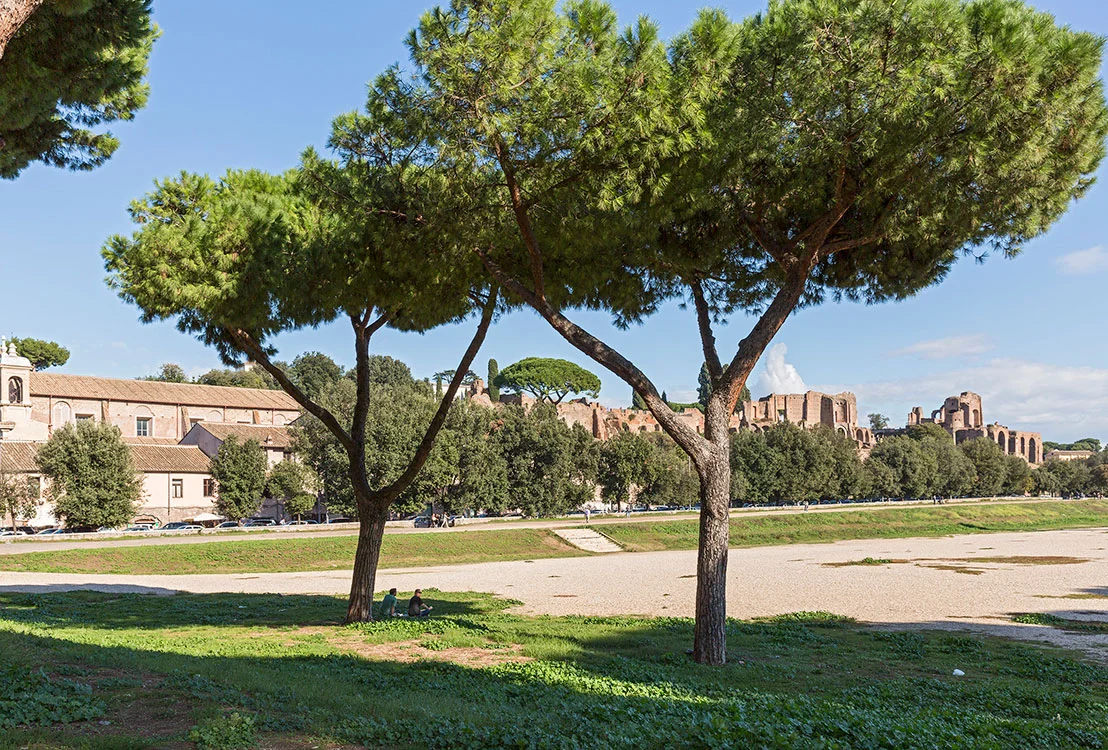 Circo Massimo, Rom 2015