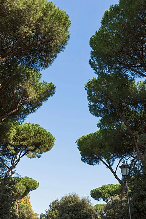 Piazzale Numa Pompilio, Rom 2015
