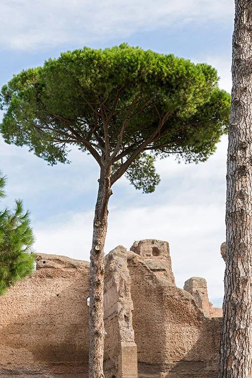 Caracalla Thermen, Rom 2015