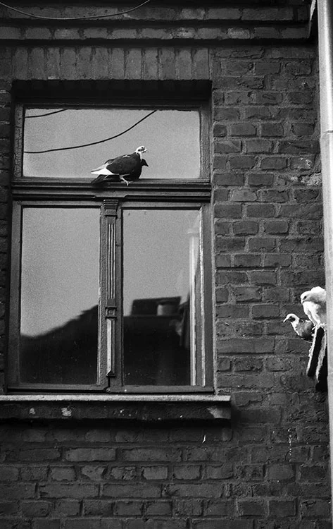 Düppelstrasse, Hinterhof, 1976